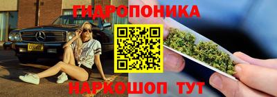 стаф Тверь