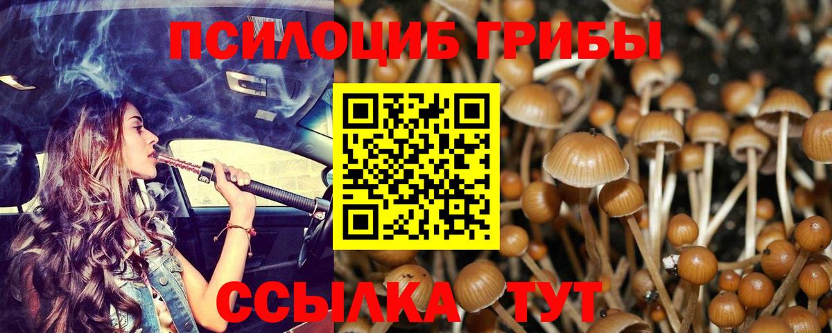 Галлюциногенные грибы Magic Shrooms Обь