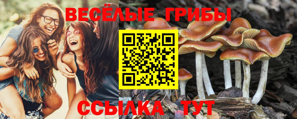 Вейп ТГК Обь