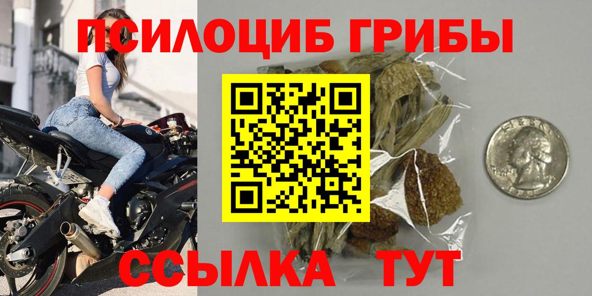 Обь  Галлюциногенные грибы Psilocybe  Галлюциногенные грибы Psilocybe  Вход с VPN 